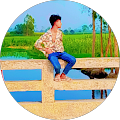 Aminul R.